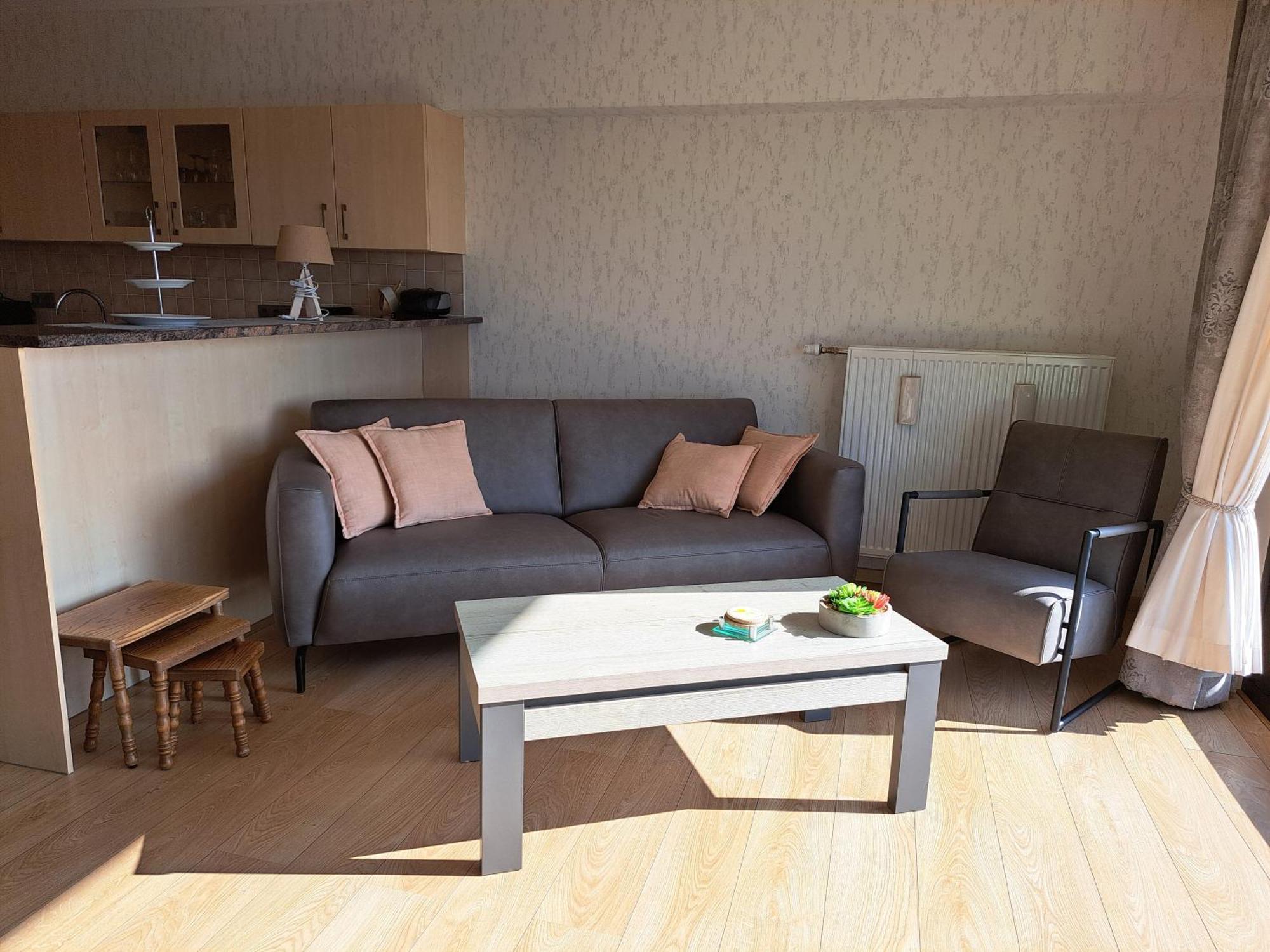 Apartment Panoramisch Tussen Zee ,bos En De Duinen De Panne